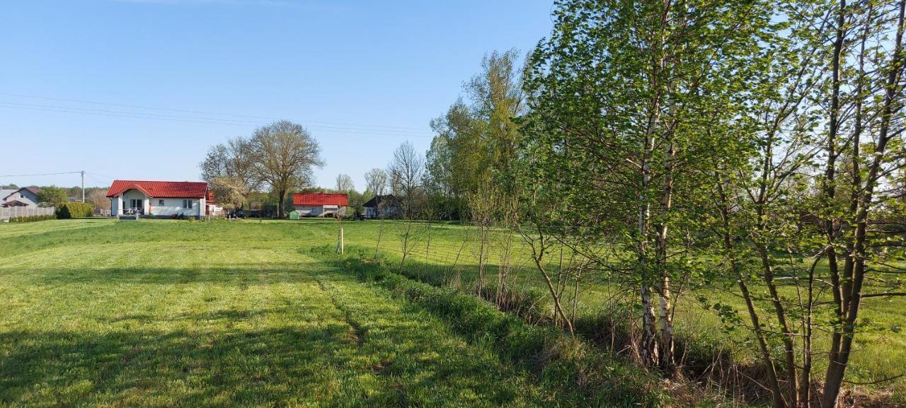 Wygodny Dom Na Ponidziu Z Basenem Villa Wislica Buitenkant foto